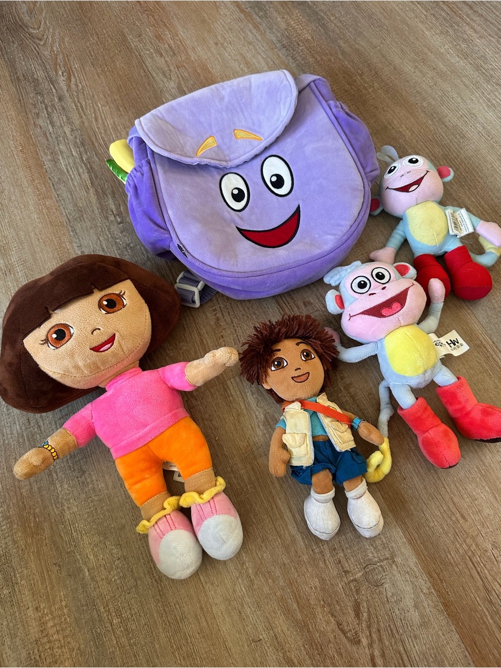 Dora the explorer bundle